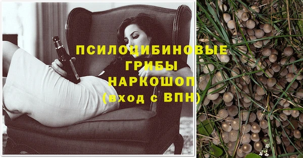 мдпв Нея